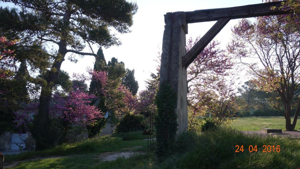 Les Lavandins-Gite Frederic Saint-Rémy-de-Provence Zewnętrze zdjęcie